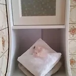 Appartement Sonja *